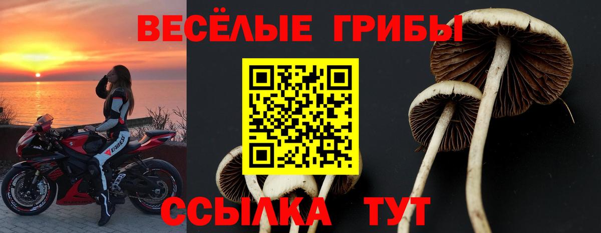 Галлюциногенные грибы MAGIC MUSHROOMS  Вход с VPN  Березники 